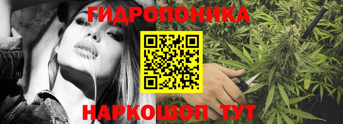Конопля ГИДРОПОН  Каннабис конопля  Кириши  Бошки марихуана план  Вход с VPN 