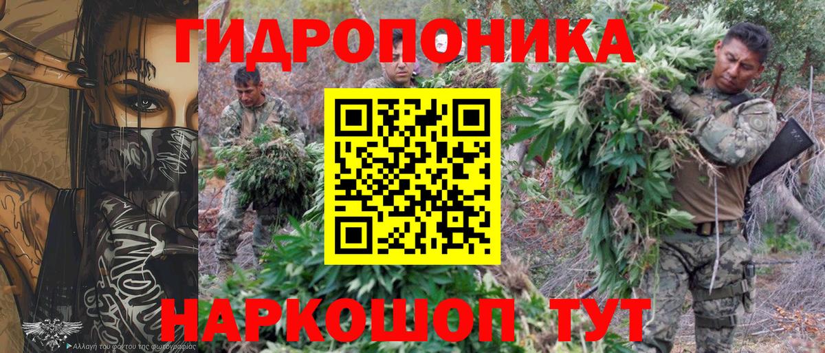 Бошки марихуана план Кириши